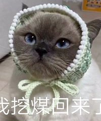 �����ֺͺ����������Ӿ��Ǻܰ�����