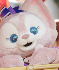 �������ȱ����޷��԰Σ��ݽ�ȥ��