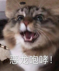 搬家住到了学校旁边,一切都好,就是这噪音受不了