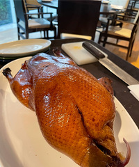 ƶ���Ů�����������۳Ե��˿��õı�����Ѽ