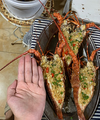 ÿ���˾�100�����޵�����֮��