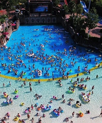 ϰˣ´̵㣬پĵطҲ̫˰