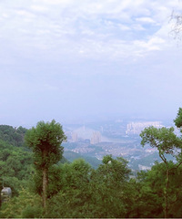 ��ɽ����ռ���Ҷ����ҵ��˳���������