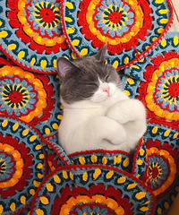 �������Ӽ�¼�ֹ���ҵ����ˮƽ�ܳ�̯����