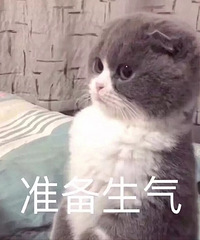 ͼ˫11ĸҷԱǰǣۣˣ