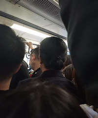 �������°��ͨ�ڣ���������������ϰ������