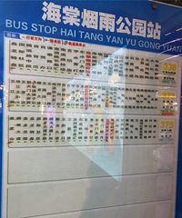 ��������40����Ҫ̤�ϼ���֮·������������ײ�������������