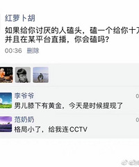 ��һ��ͷʮ��������