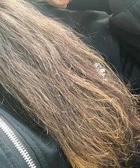 ͷ�����ڱ��ҾȻ��ˣ�����˼��