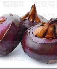 全网炸裂!马蹄竟然不能生吃?