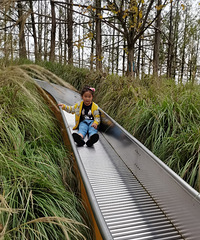 ѹ԰ʺϴ޷ŵ磬޶һ̶ͣ