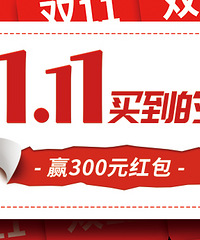 ˫11ɹɹ˫11򵽵ĺӮ300Ԫֽ