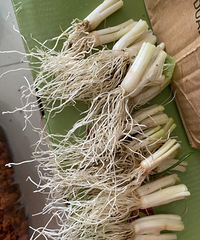 ��Ҫ�ڲ��ˣ��Լ��ڼ��������ɣ�