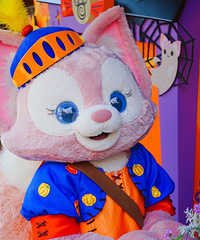 Ϻʿָգ˳٣ѣɶµģ