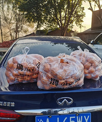 来记录下今年的生活,顺便看能否遇见她