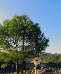 93��155CM��˫�����������飬ϣ���Է��ɾ����ⲻ����