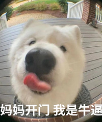 TAOBAO88VIP是自动续费吗……