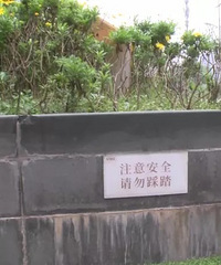 谁的错?巴南3岁小孩撞倒花台的标牌模型砸中老人