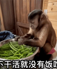 ��118ֵ������������Ь21.9���ȷ�ů���39