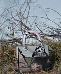 ȫ��DIORLADYART6��������������ϵ��չ���׷���