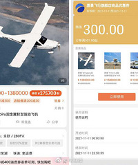 双11有商家在天猫上架了两架小型私人飞机,售价最低 138