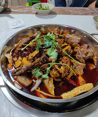 4������������㻨����ҹ���������̫����