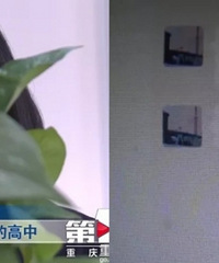 走捷径上高中?25万元换来育才中学假录取通知书