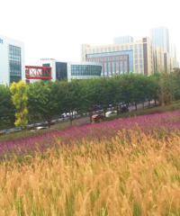 �·��ֵ�����С�ڹ�԰