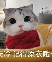 【今天值得买】雪花秀睡眠面膜99, 珂宣尼无痕无钢圈文胸49