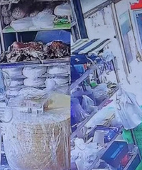 酸了!男子驱车9小时回家给妻子惊喜