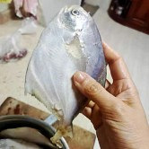 ֱ��������������˰��