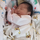 520Ԫ��ס��������