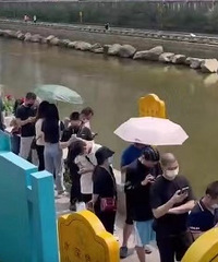 ̺̹300ҵ󣬲ɫҲ87ҵ