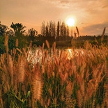 ���յĹ�����������