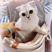 ����ʮ�����èװ��