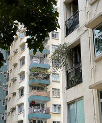 ���߼���ķ���̫����