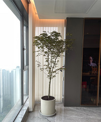 к240O5ƽβ550Ԫĺ㳬