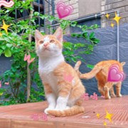 ����¥���һ��������