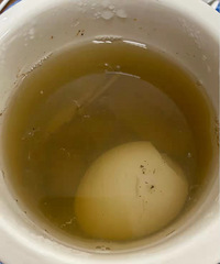 ��ǰ�����һ�ε��鼦������Ҳ������������