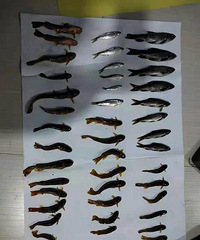 ����һ���Ӵ�Ů�Ѻӱߵ��㣬��������Լ��