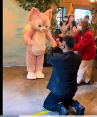 ��ʿ��ĳ���ο������ȱ����¹����