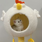 ��С������ұ����Ȼ�