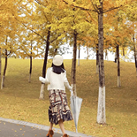 ��2����԰�����ӻ���