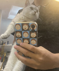 29岁174CM的招商运营小哥征婚,不抽烟不打牌不喝酒