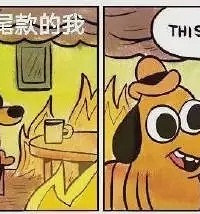 “如果我有罪法律会惩罚我”而不是让我憋笑看双11的沙雕买家秀