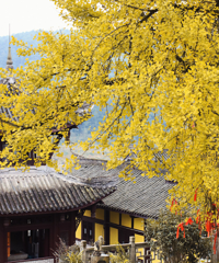 �����ٵ�һ������յ�