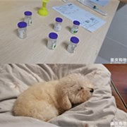 �Ҵ���5���Ȯ����