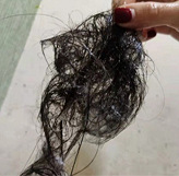 ���µ��ѷ����ټ���