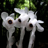 ���췢�֡�����֮����