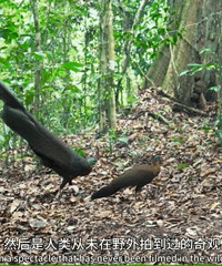 ֻҪ���㹻Ŭ������һ�����ж���